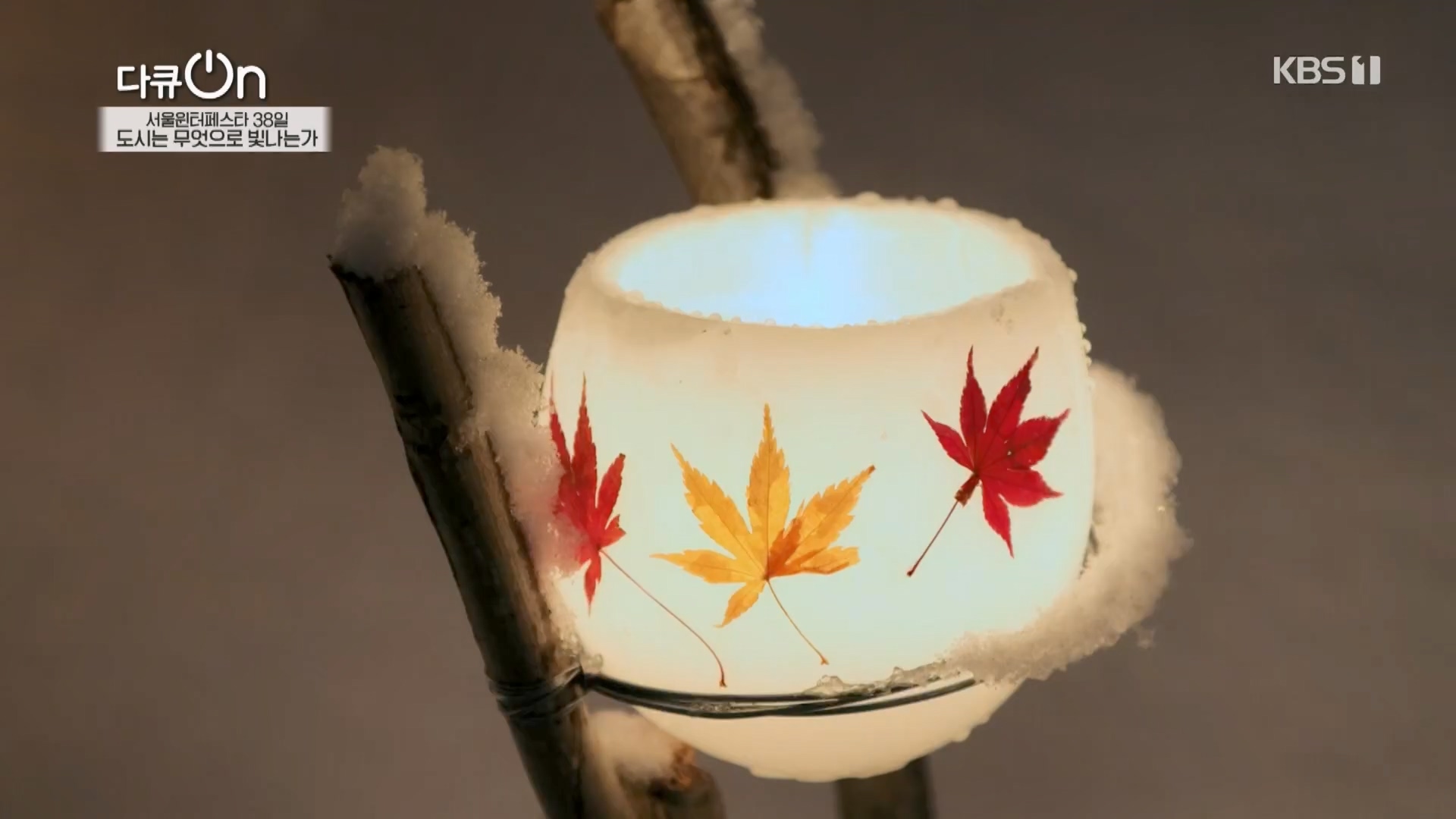 다큐 On.E239.240217p.H264-F1RST.mp4_20240218_172335.207.jpg