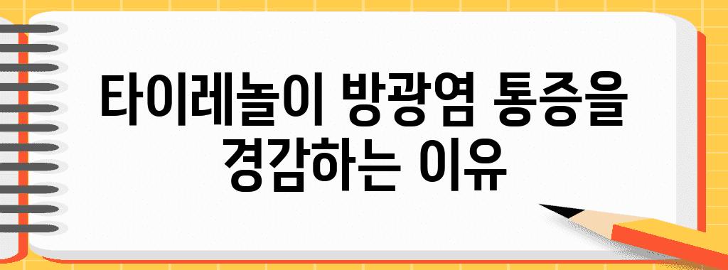 타이레놀이 방광염 통증을 경감하는 이유