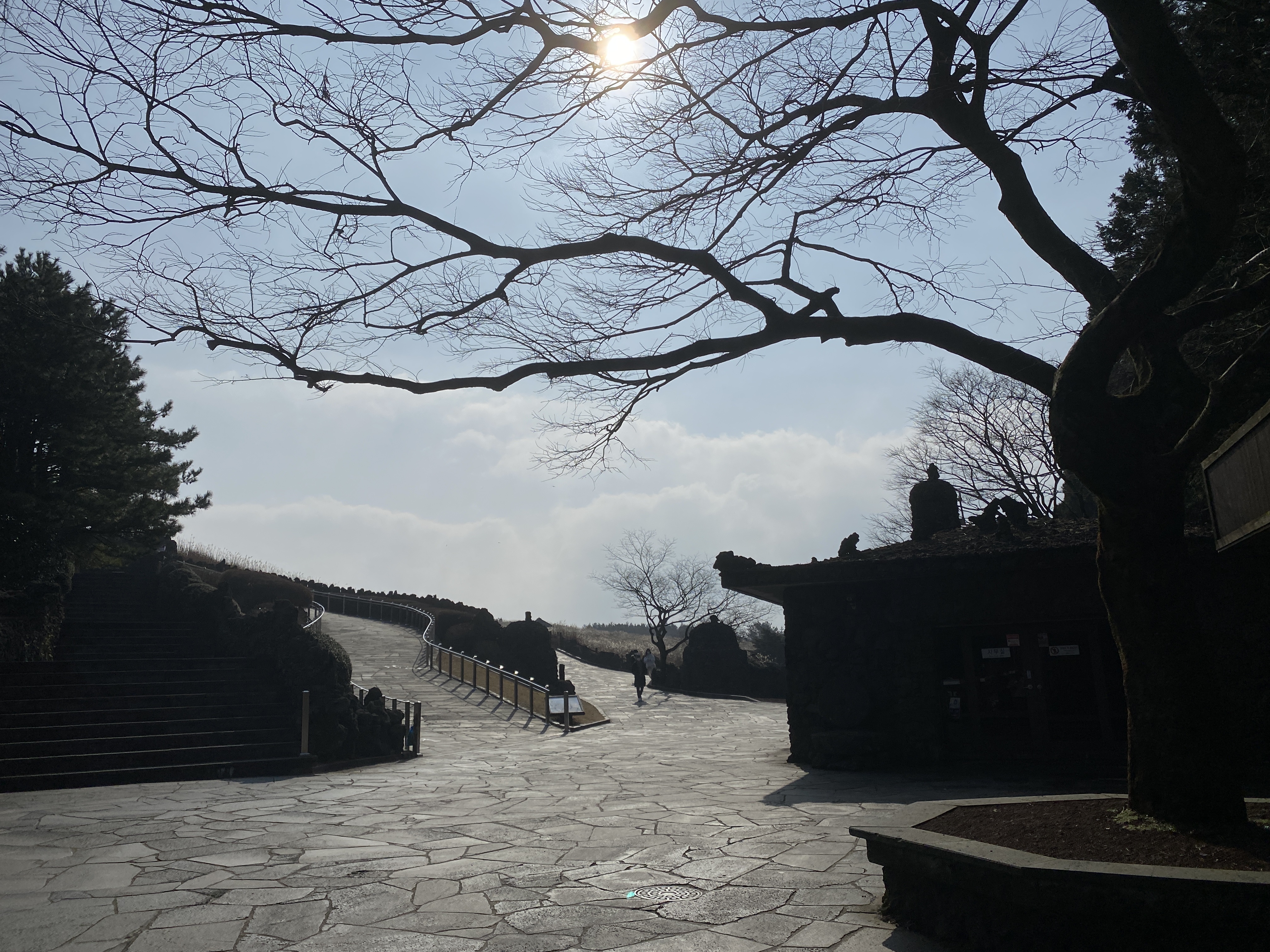  [ 제주 ] 억새가 멋진 "산굼부리"