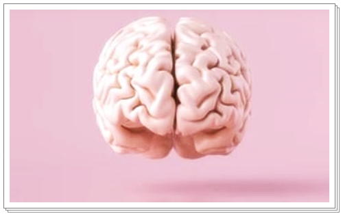코엔자임 큐텐의 효능 뇌건강