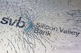  실리콘 밸리 뱅크 (SVB) 사태: 원인, 대책 및 사전대응