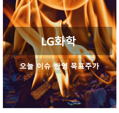 LG화학 주가전망 및 다음주 일정, 매수 및 매도 전략: 이슈 점검