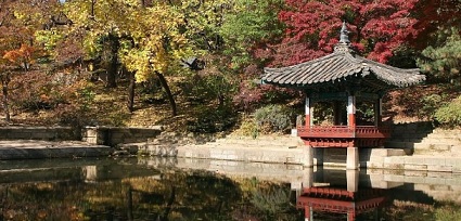 창덕궁 애련정