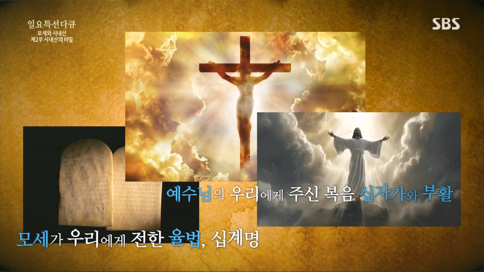 일요 특선 다큐멘터리.E343.240407p.H264-F1RST.mp4_20240410_142726.115.jpg