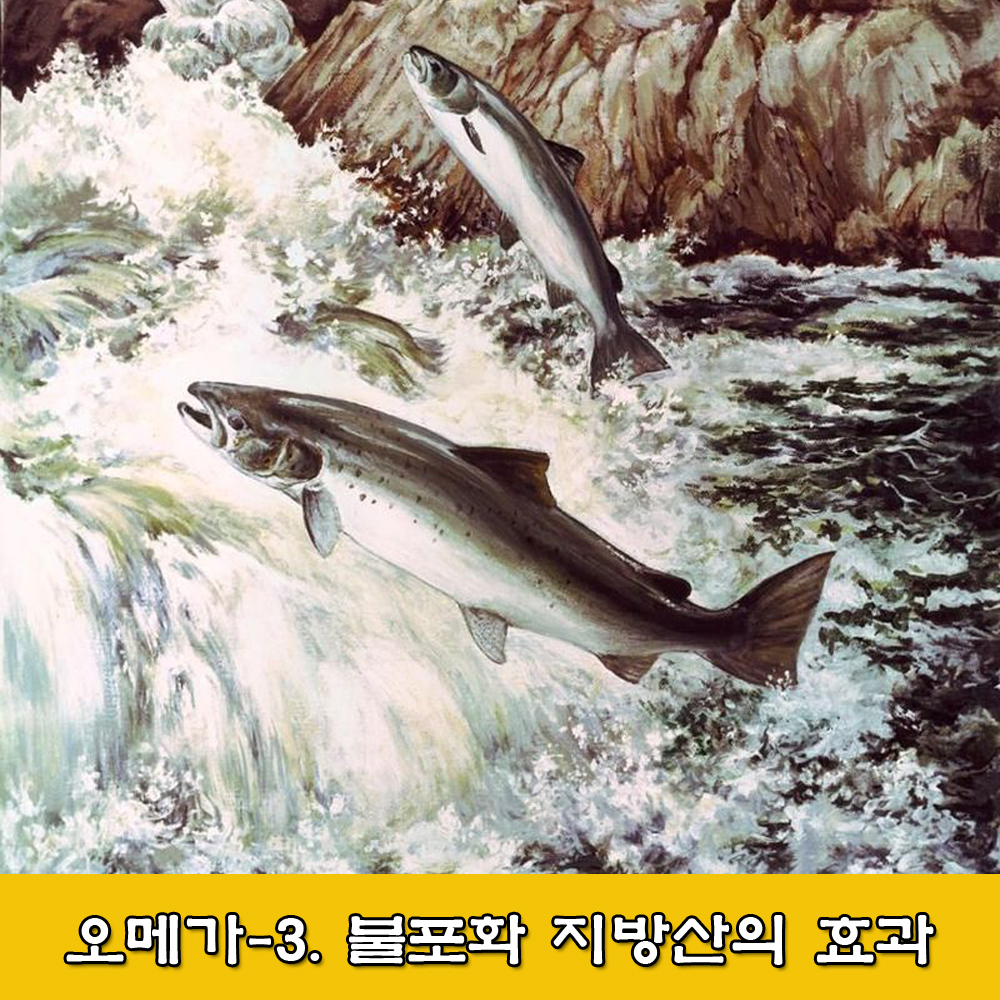  오메가-3.DHA.불포화 지방산의 효과
