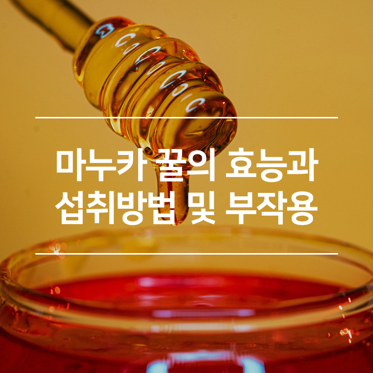 마누카 꿀의 효능과 섭취방법 및 부작용