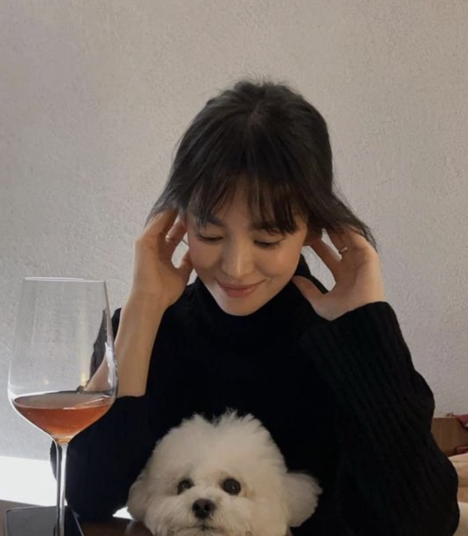  대표작을 3가지만 뽑기도 어렵다, 송혜교 대표작 TOP3