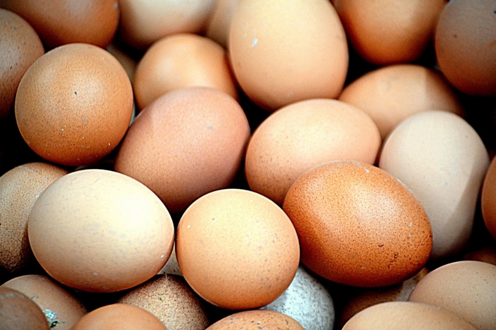 감자와 달걀 조합의 체중 감량 효과2