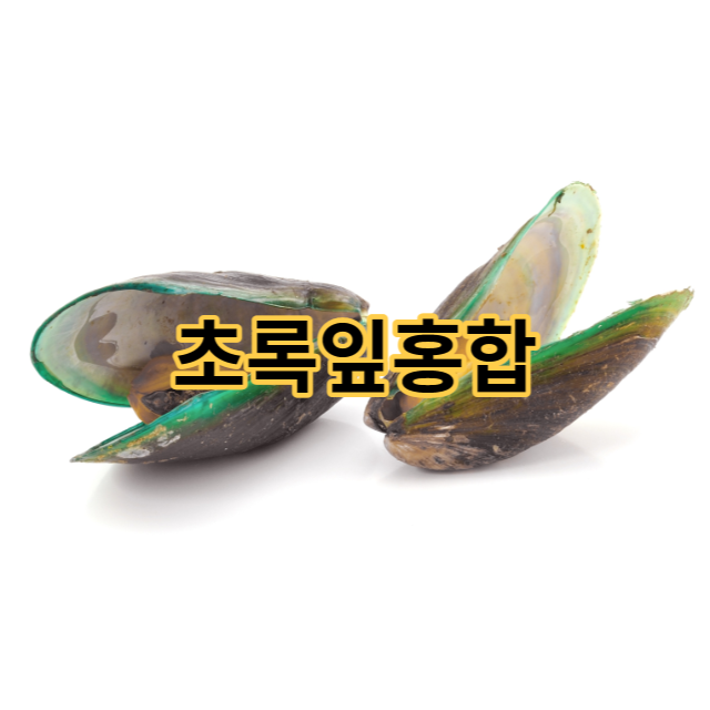  초록잎홍합 효능 관절 영양제 부작용 주의하세요