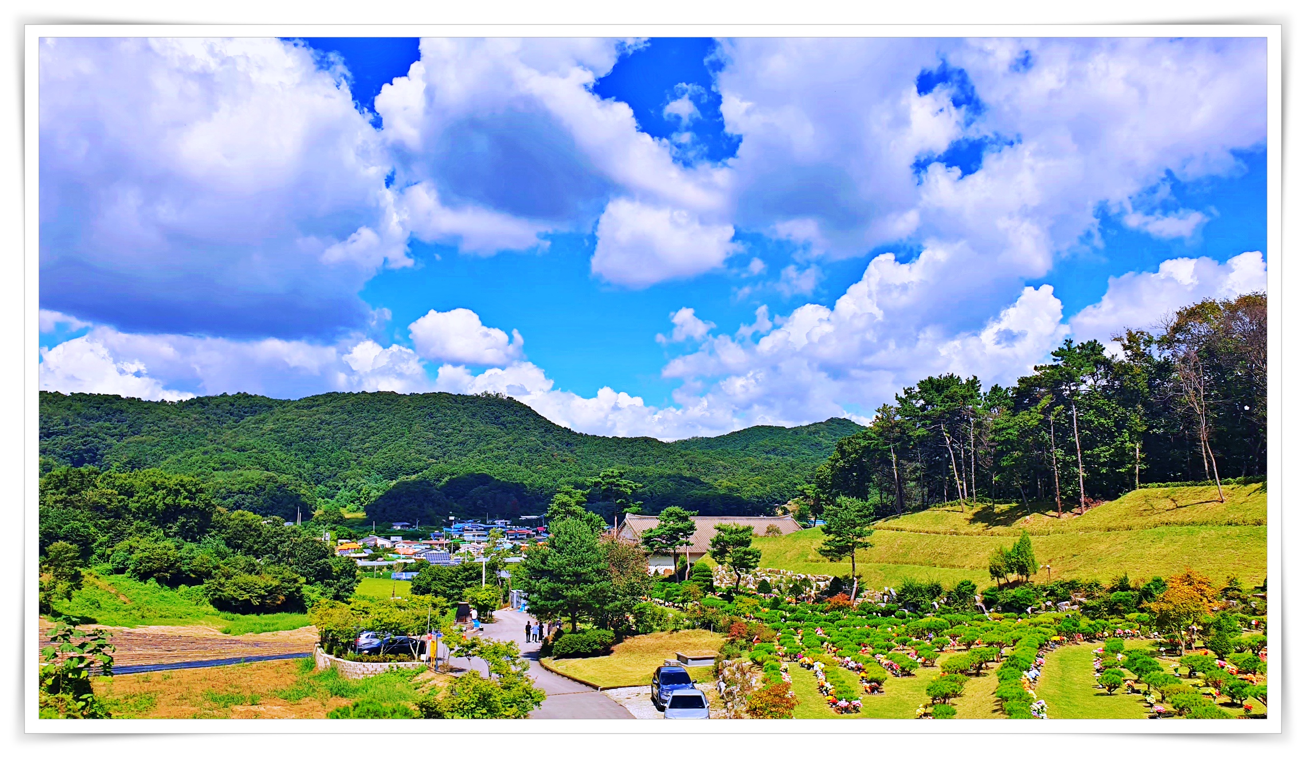 용인수목장가격