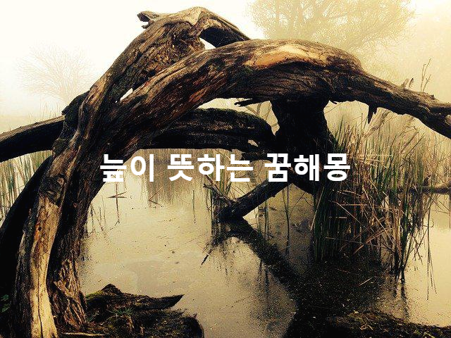  꿈에서 늪이 나오는 꿈은 요주의라고 하는 이유