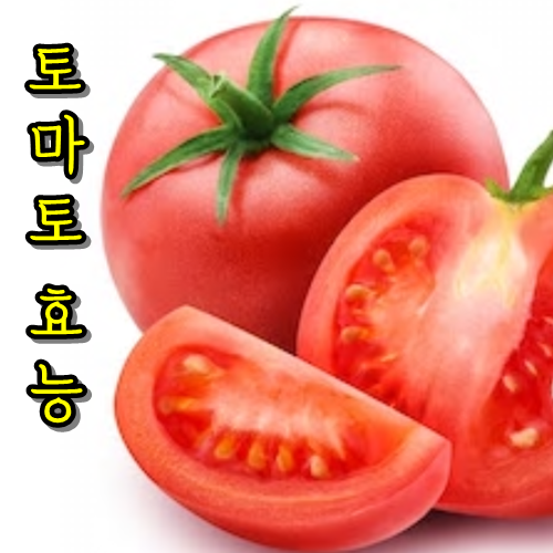  토마토 보관방법과 효능 유의할점 - 간경화, 전립선, 동맥경화 예방하기/tomato