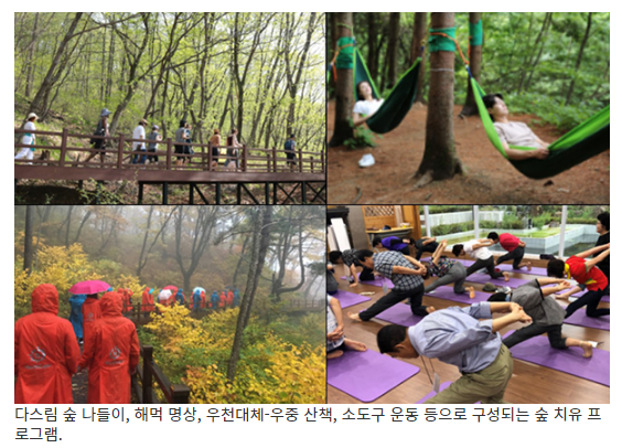  코로나19로 지친 의료진에게 '숲'을 선물합니다.