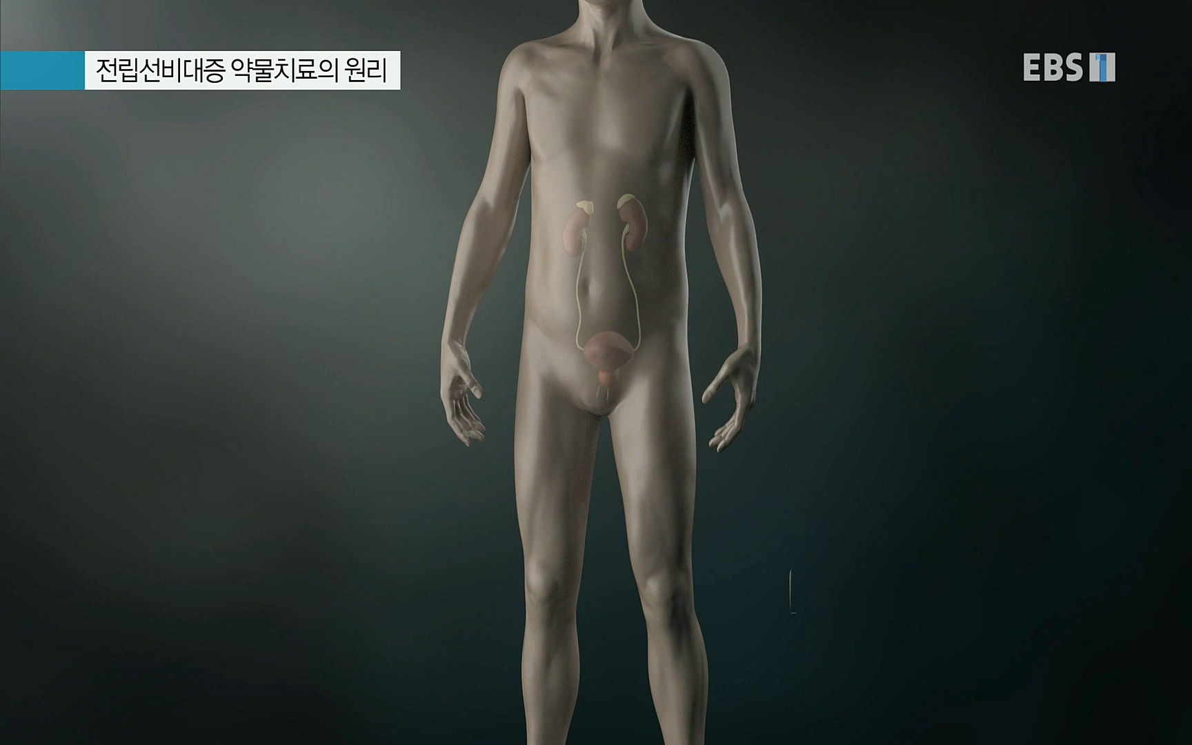 EBS 명의 헬스케어 - TV - 교육의 중심 EBS당신의 소변, 괜찮으십니까-.mp4_20220909_201557.798.jpg