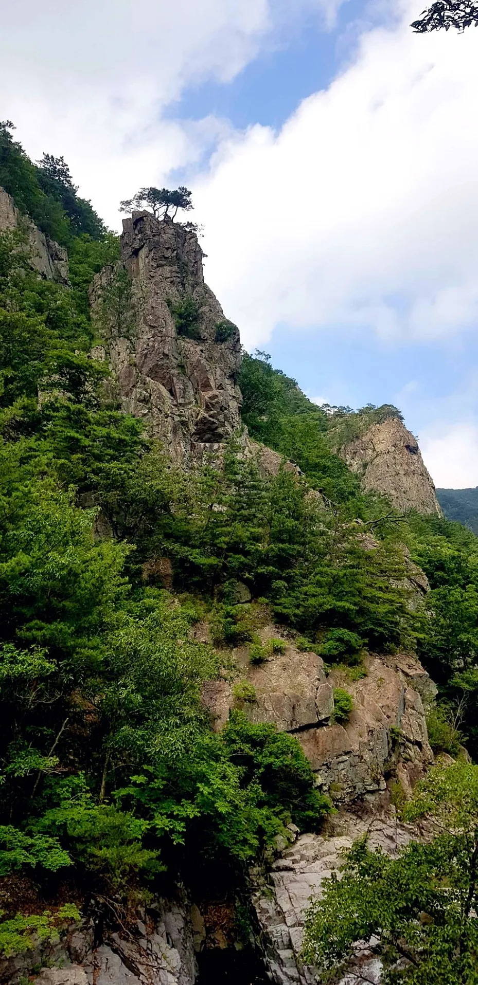 포항 동대산