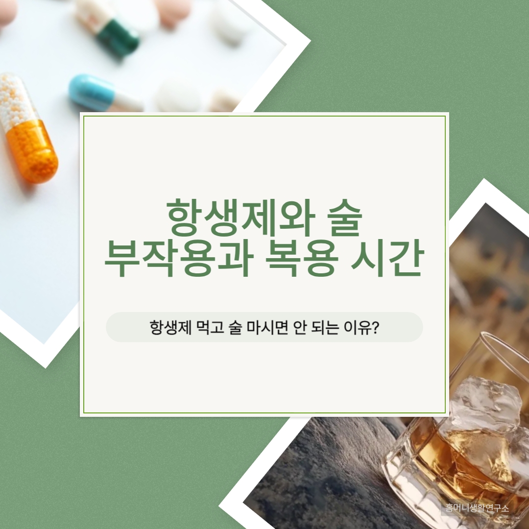 alt= 항생제와술부작용과복용시간사진