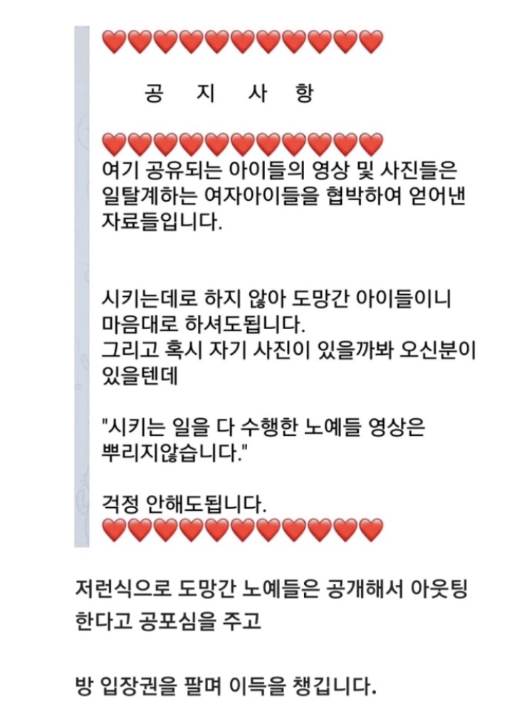 그리고 N번방 소라넷, 웹하드 19