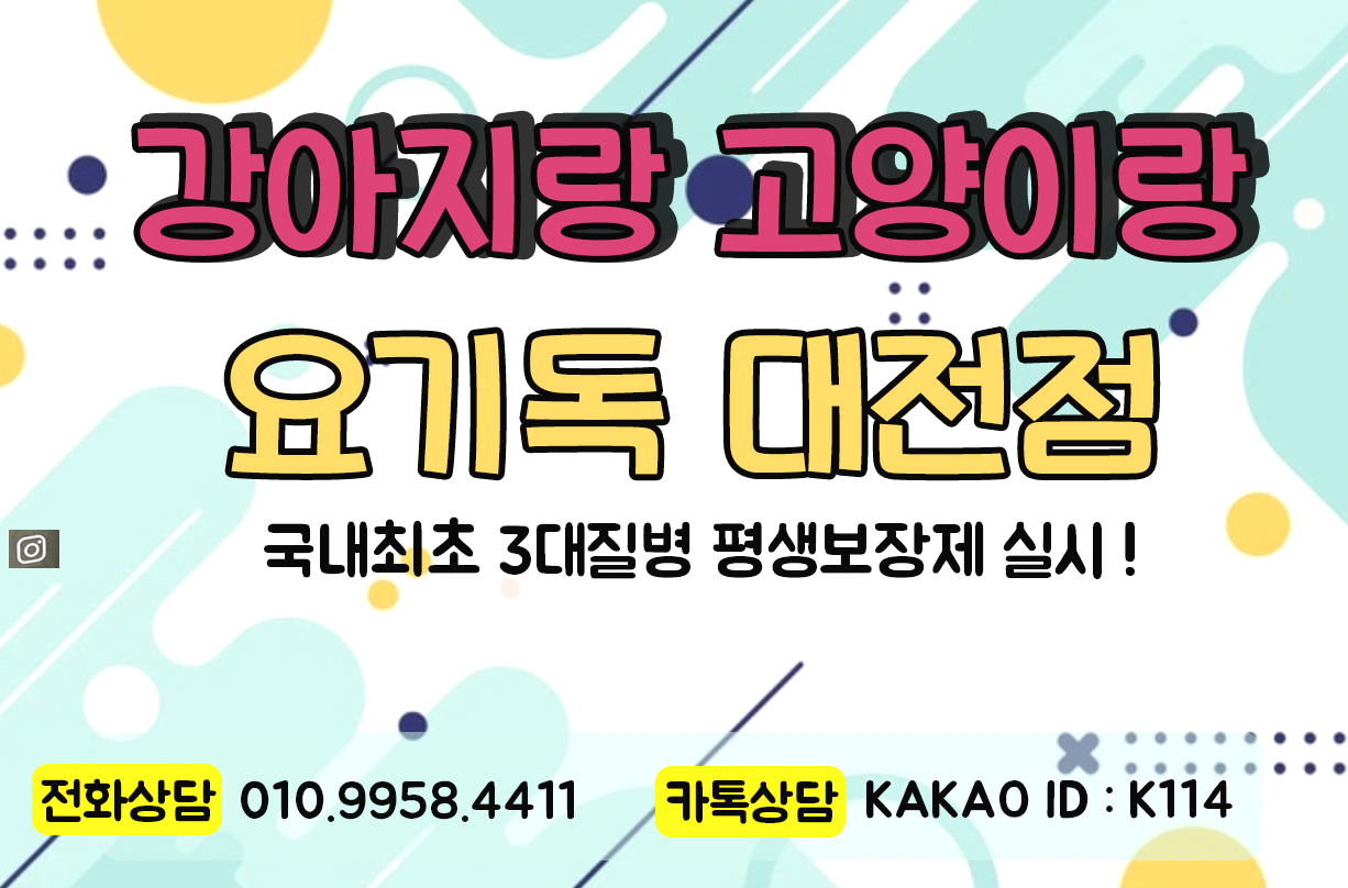 요기독대전점 안전한 이유