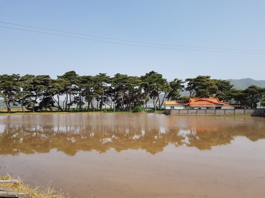  충북 속리산 할머니집 방문