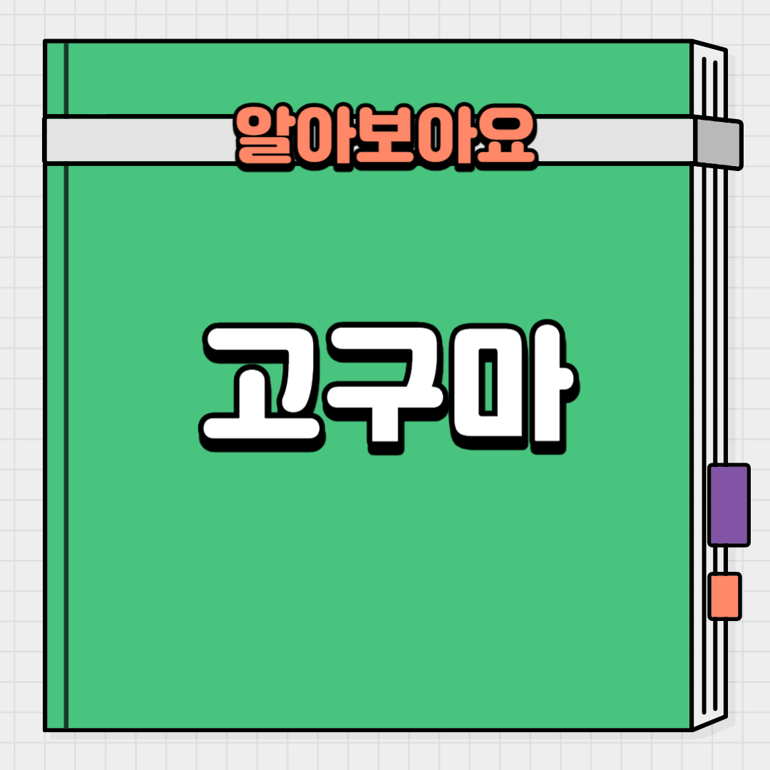  다이어트 할때 왜 고구마를 먹을까? 고구마의 영양성분과 살빠지는 이유