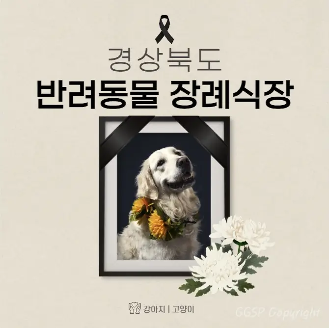  경북 반려동물 장례식장 고양이 강아지 장례 화장 업체 6곳