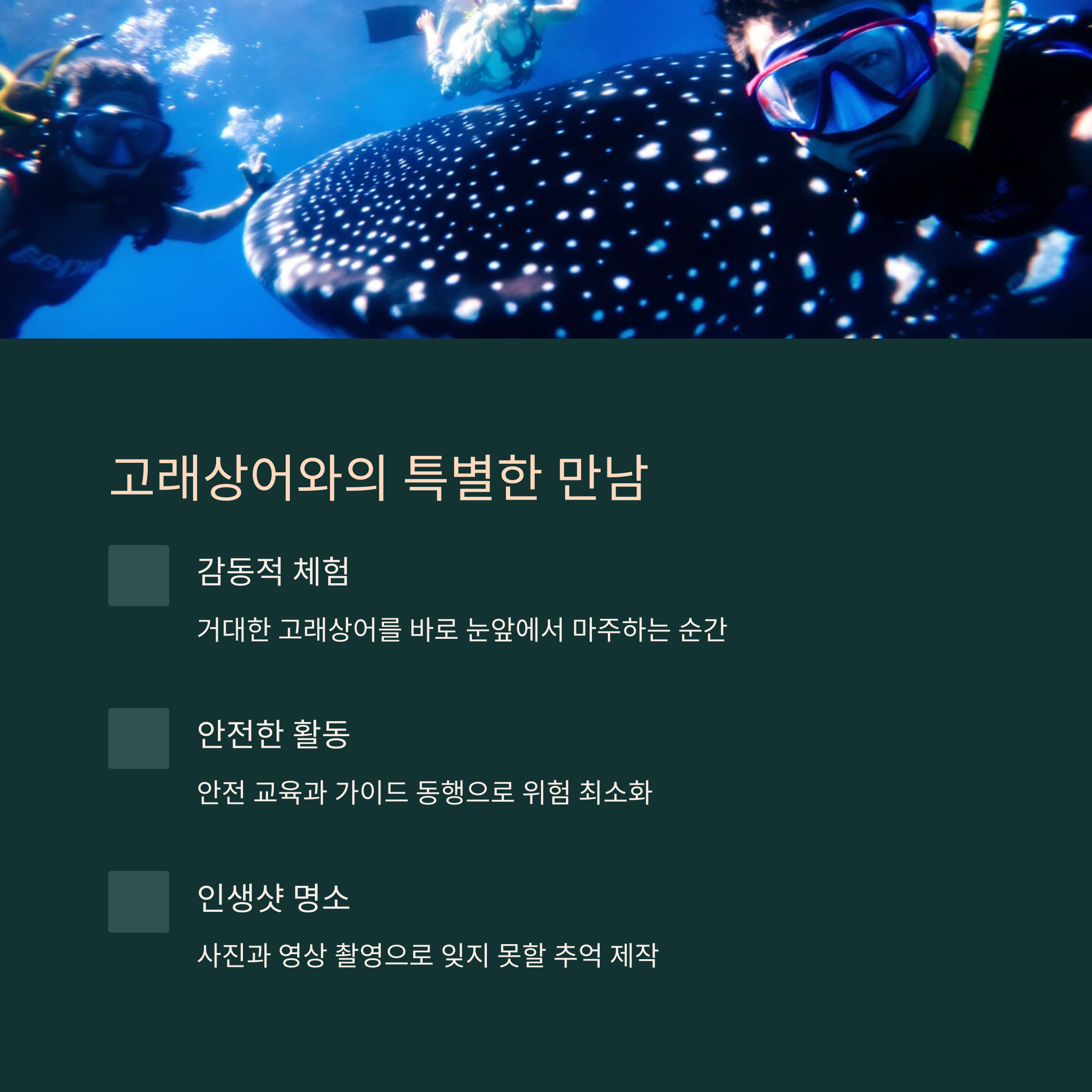 고래상어 투어 – 오슬롭의 감동 체험
