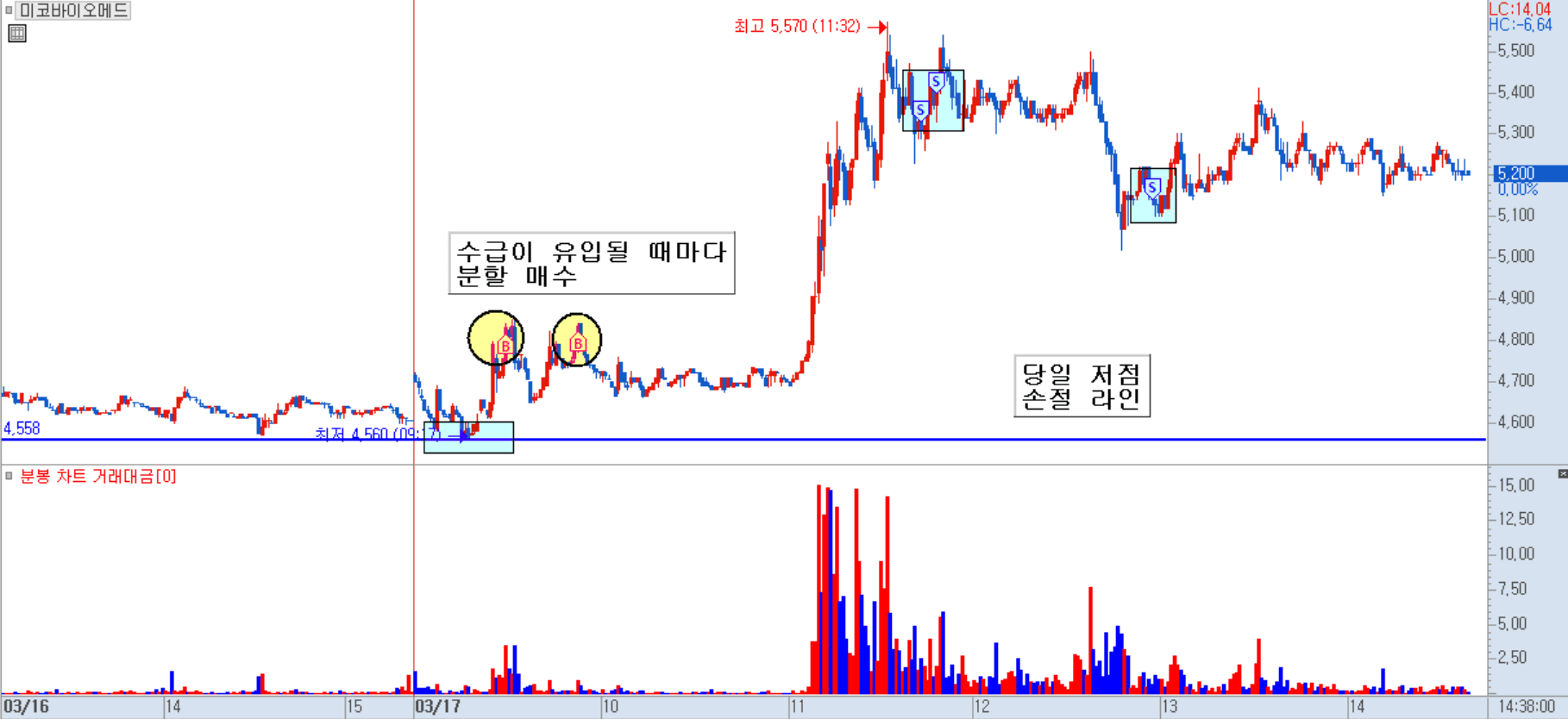 미코바이오메드 분봉 차트