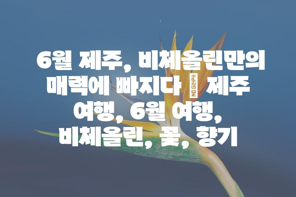 샘플 (45)
