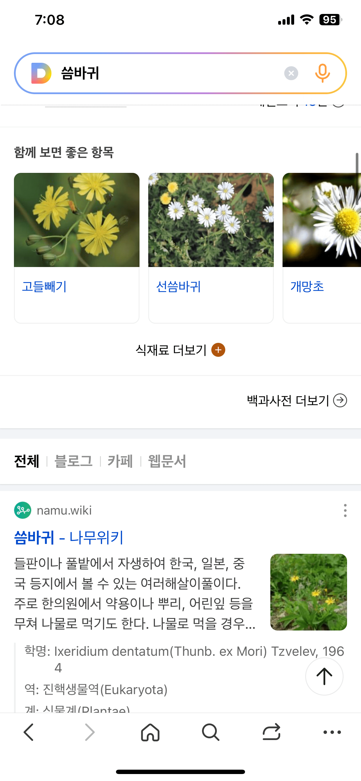 씀바귀와 함께 보면 좋은 항목과 추가적인 웹 페이지 정보