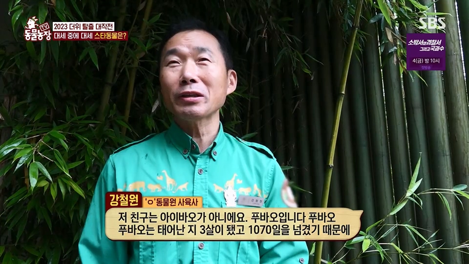 TV 동물농장.E1129.230716p.H264-F1RST.mp4_20230716_183627.237.jpg