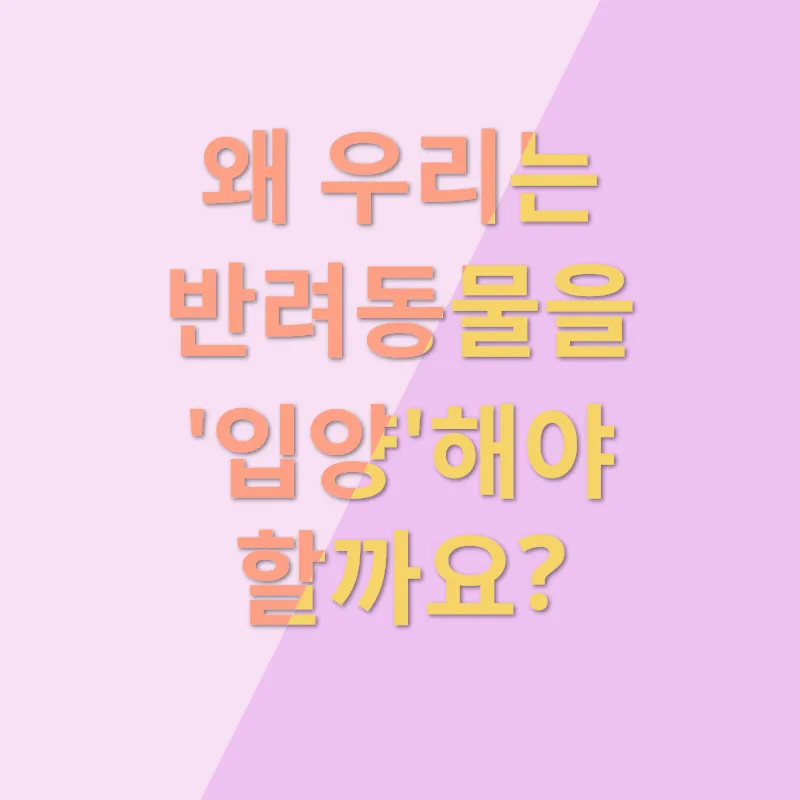 반려동물 입양_1