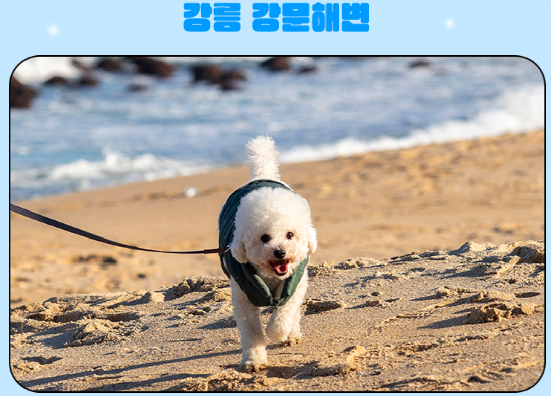 etc-image-8