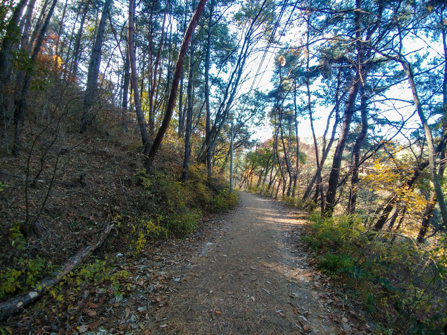 한국 명산 전북 전주 여행 모악산 등산 mountain hiking