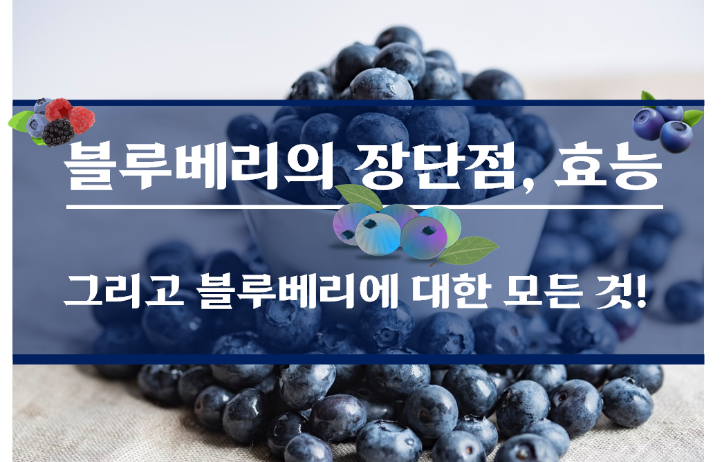  코로나시대의 황제과일 블루베리. 면역력, 항산화로 늙지 않게 만드는 슈퍼푸드
