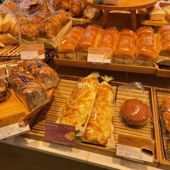 파리바게뜨 파란라벨 론칭 건강빵_17