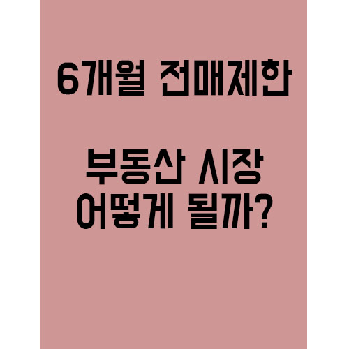  6개월 전매제한 단지. 앞으로 부동산 시장은?