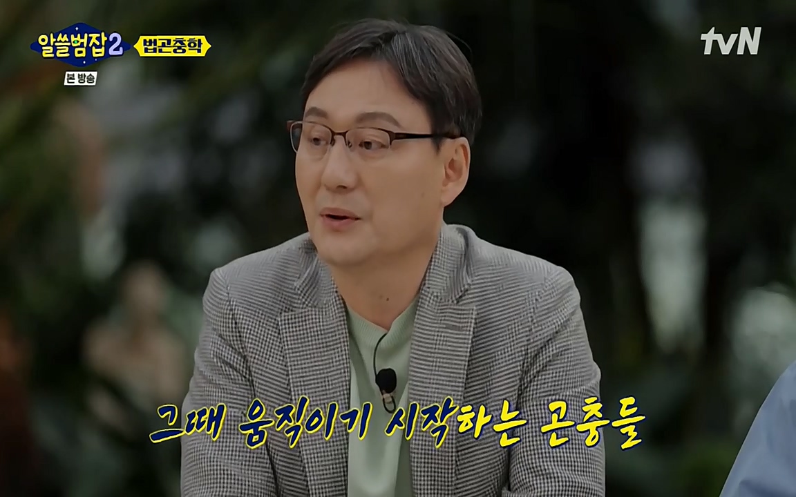 알쓸범잡 2.E15.220425p-NEXT.mp4_20220425_181846.425.jpg