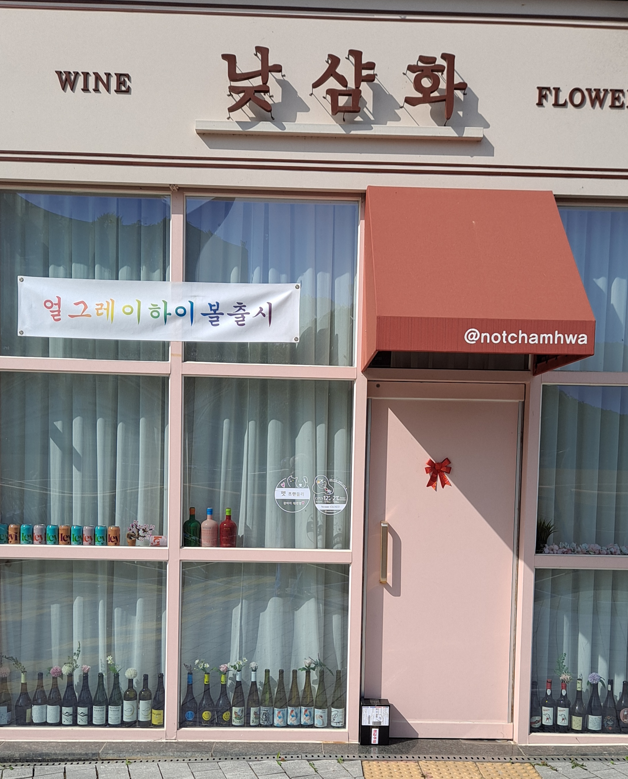 낮샴화 이미지