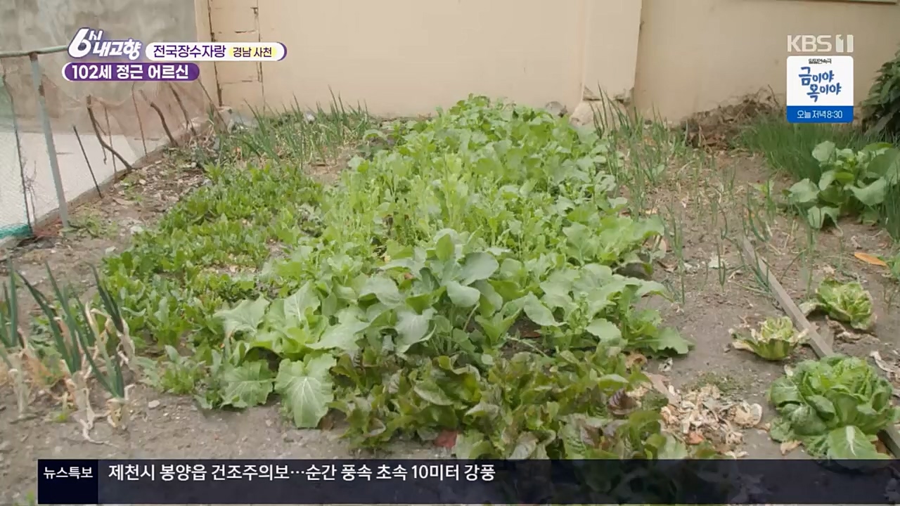 6시 내고향.E7756.230331p.H264-F1RST.mp4_20230331_212216.353.jpg