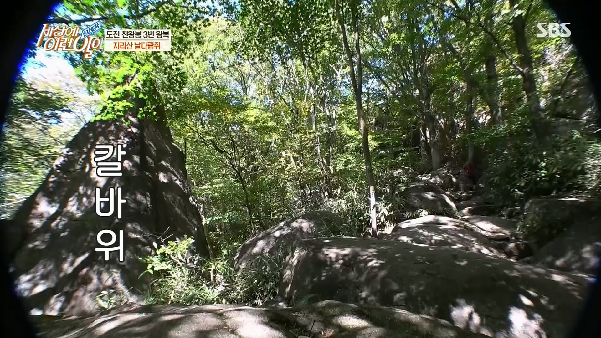 순간포착 세상에 이런일이.E1202.221018p.H264-F1RST.mp4_20221019_180838.084.jpg