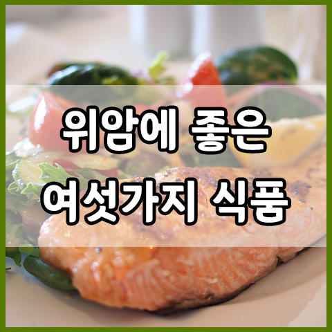  위암에 좋은 여섯 가지 식품
