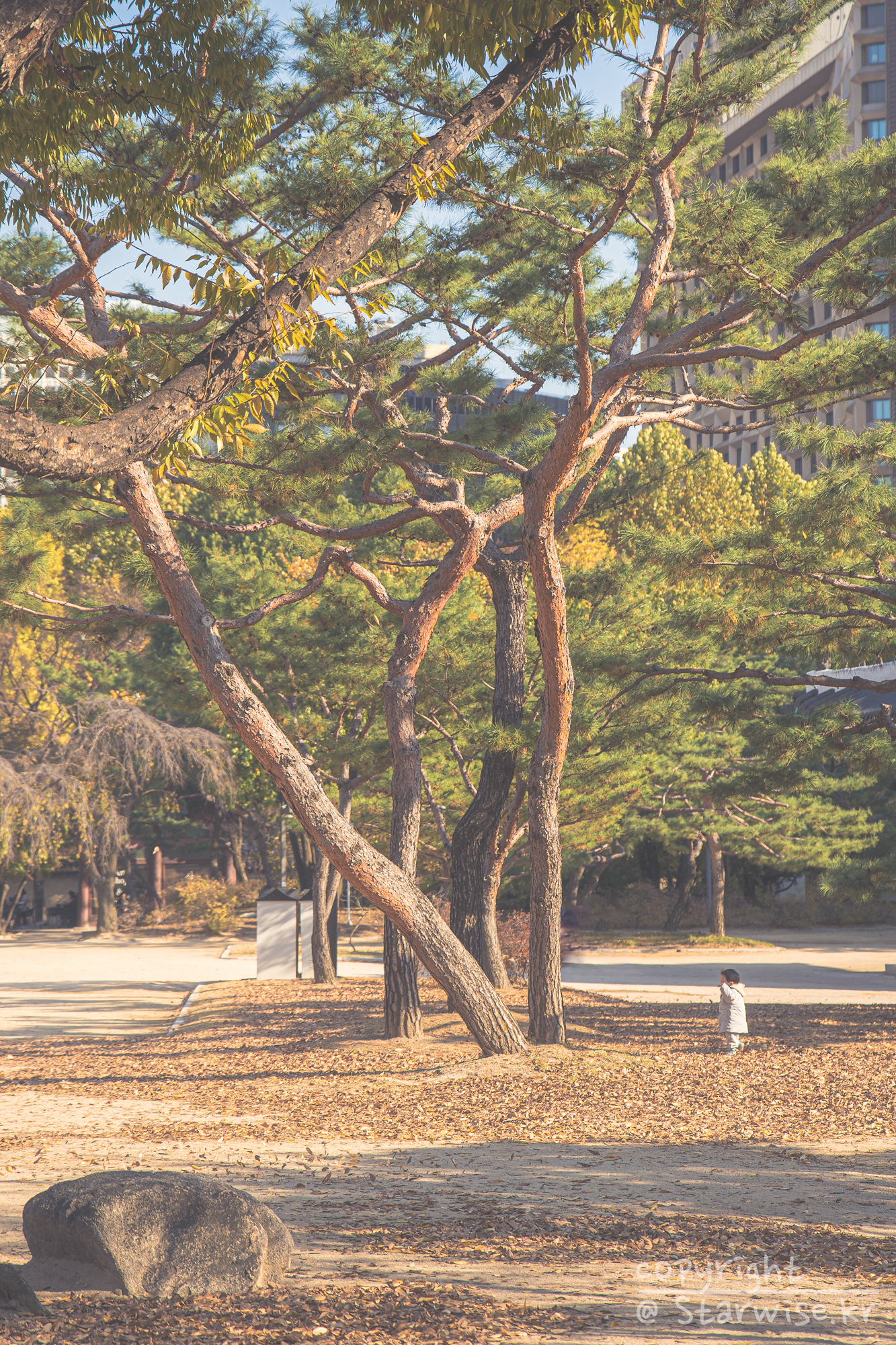 가을의 한가로움을 덕수궁에서