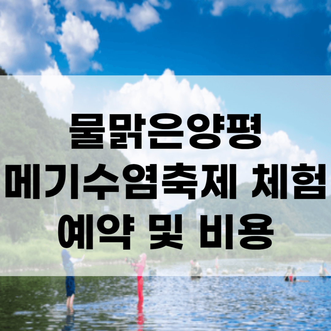 물맑은양평메기수염축제 체험 예약 및 비용