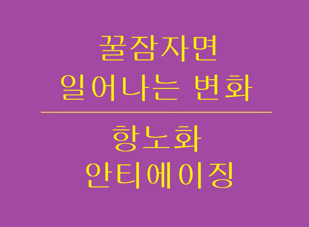 꿀잠의_변화_항노화&#44;안티에이징