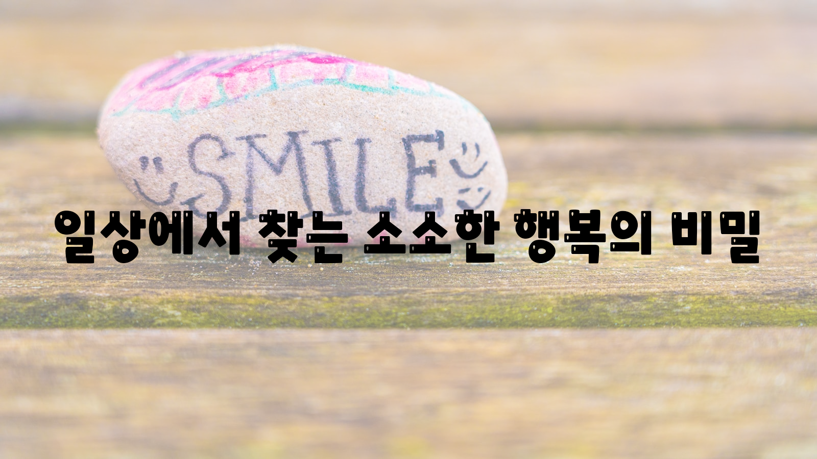 일상&#44; 소소한 행복&#44; 비밀