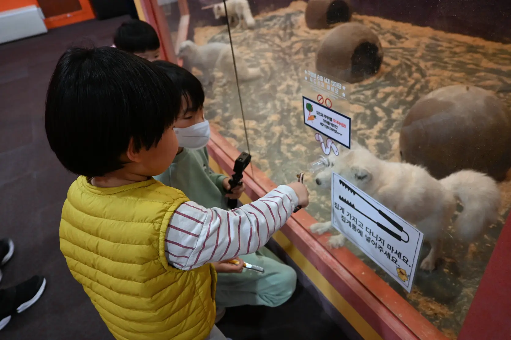 기흥 하이브패밀리 테마파크 온가족이 즐기는 동물원이 있는 키즈카페 사진 14
