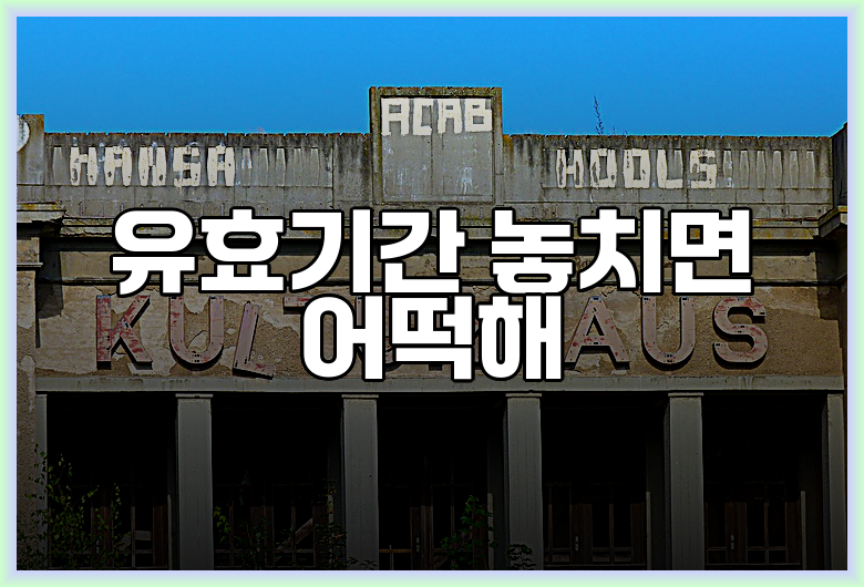 유효기간 놓치면 어떡해