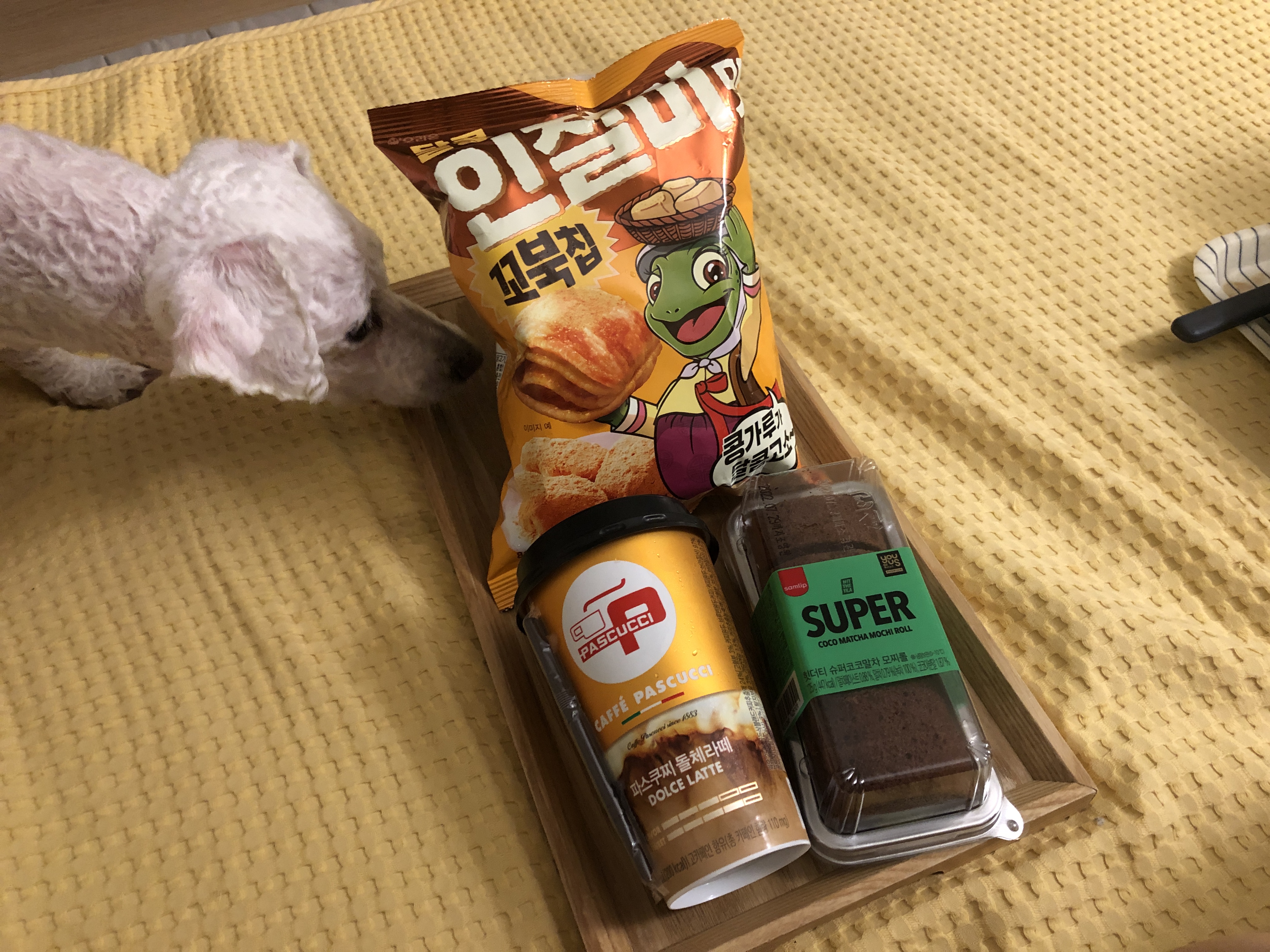 꼬북칩_인절미맛_한봉지와_파스쿠찌의_돌체라떼_음료와_수퍼_말차롤케이크_하나가_쟁반에_담겨있고_이를_흰색_푸들_한마리가_얼굴을_내밀어_냄새_맡고_있다