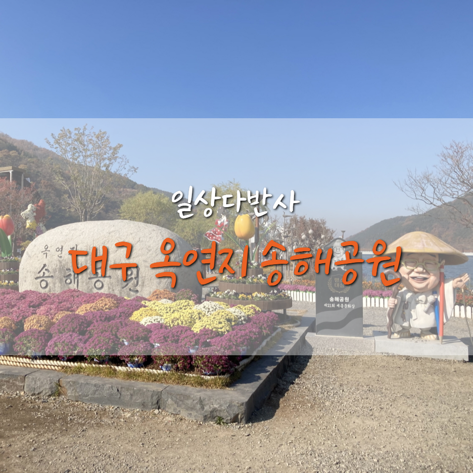  대구 송해 공원에 국화 보러 오세요!