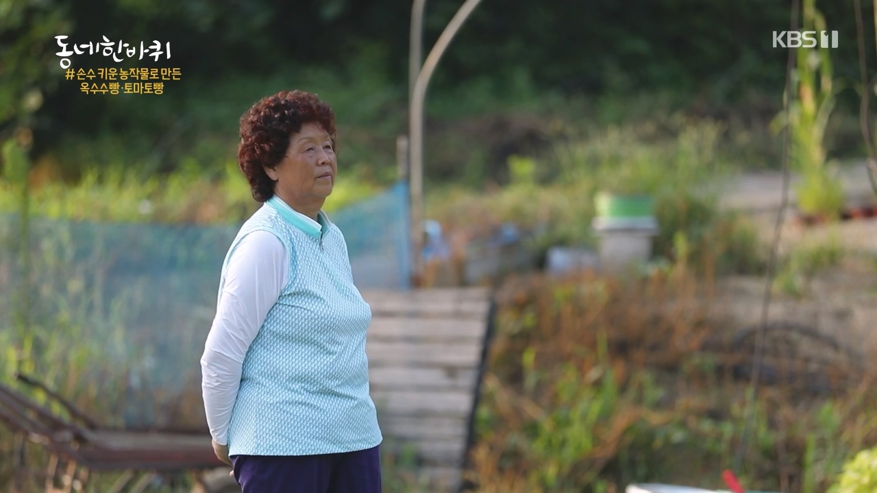 동네 한 바퀴.E237.230827p-NEXT.mp4_20230829_212637.308.jpg